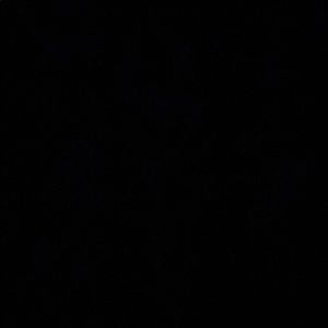 Meet your Posher, Mia